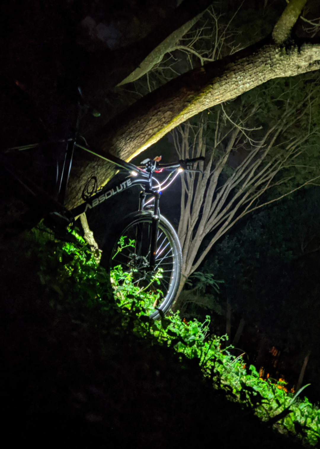 Farol CBikeAI T2